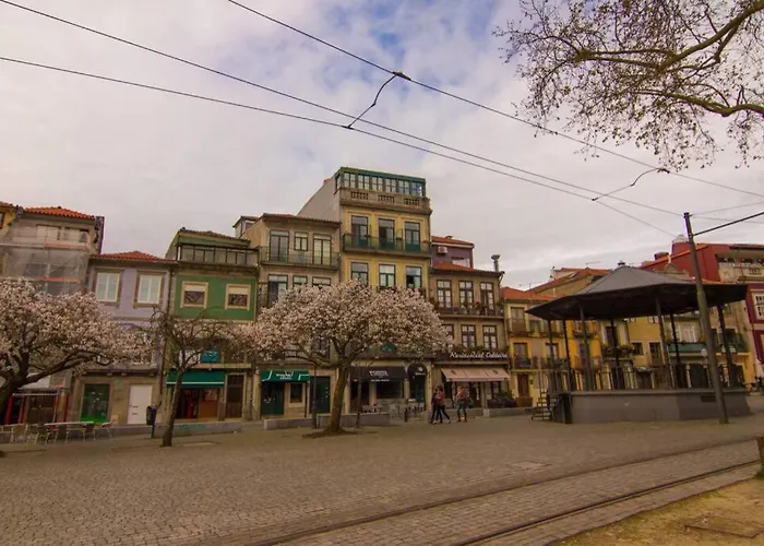 Cordoaria Garden View Porto